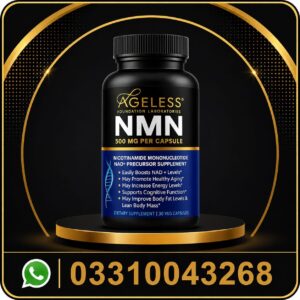 ageless foundation laboratories nmn 500 mg 30 veg capsules